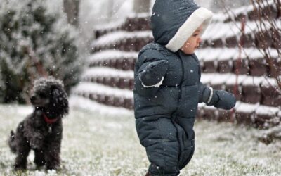 FEBRUARY Book Babies + Toddlers: Snow