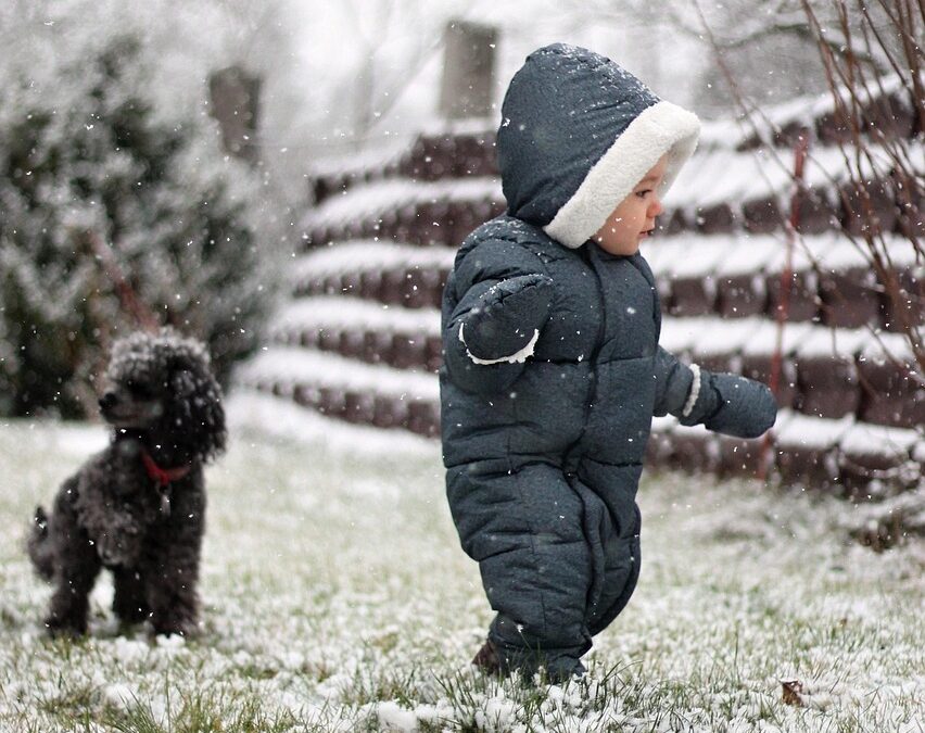 FEBRUARY Book Babies + Toddlers: Snow