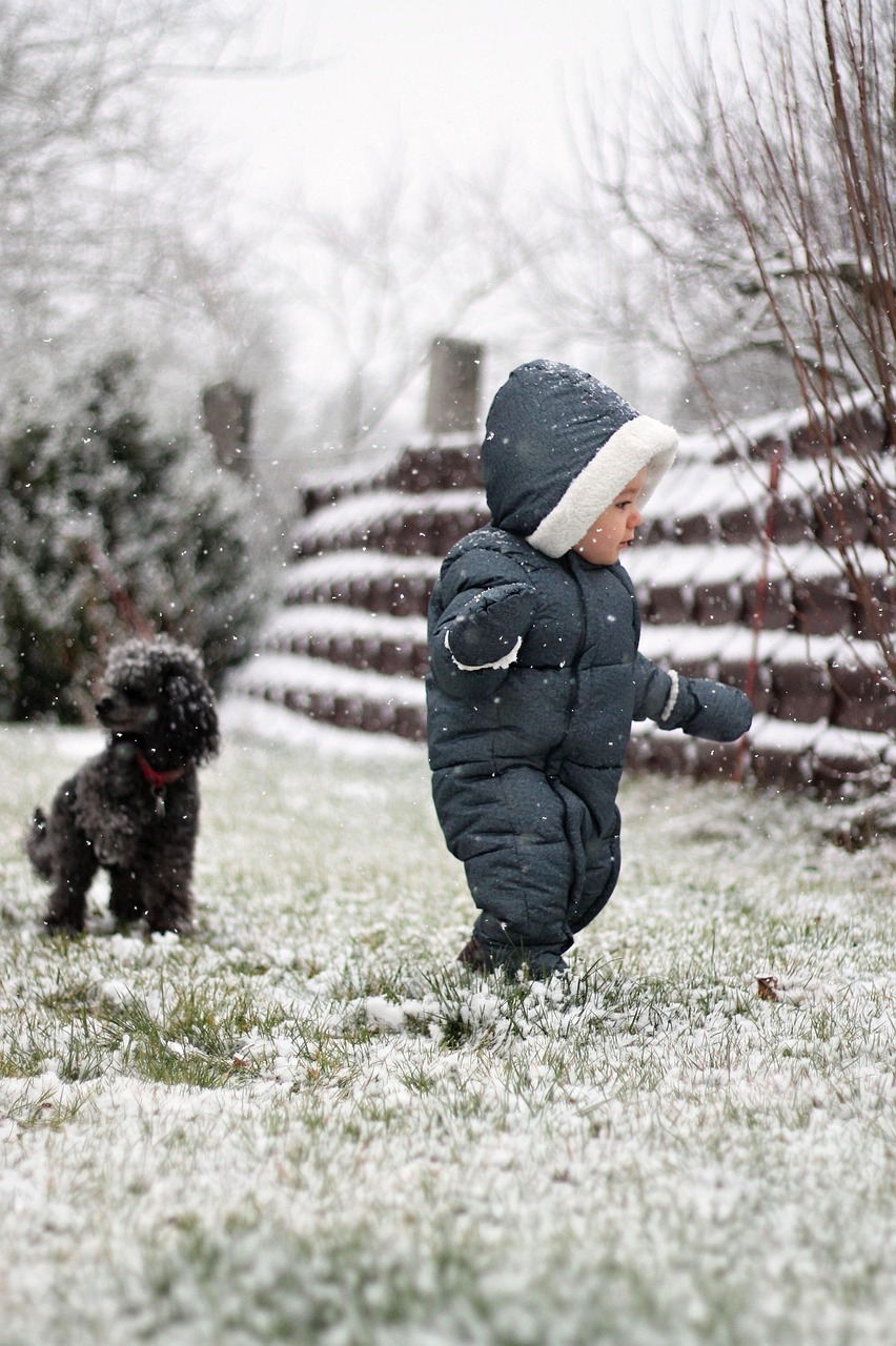A small child, dressed for the weather, walking in the snow with a little black dog.