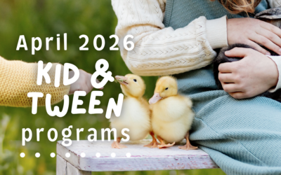 Kid ‘n’ Tween Programs April 2026
