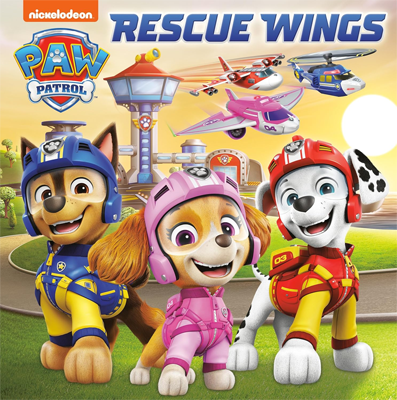 Book cover for Rescue Wings by Matt Huntley