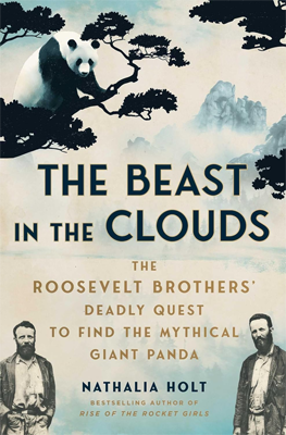 The Beast in the Clouds by Nathalia Holt Book cover for The Beast in the Clouds by Nathalia Holt