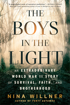 The Boys in the Light by Nina Willner Book cover for The Boys in the Light by Nina Willner