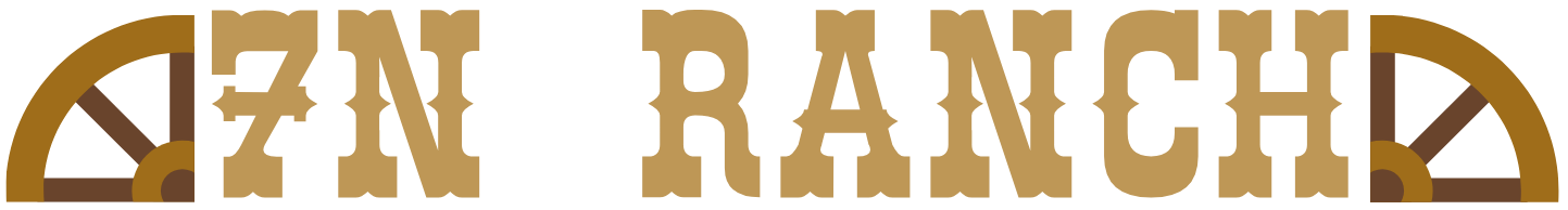 7N Ranch logo